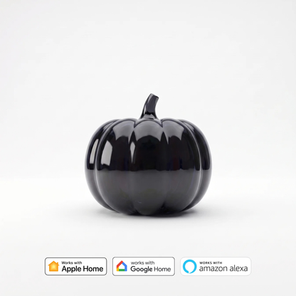Jack o' Screen